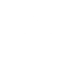 iva logo white